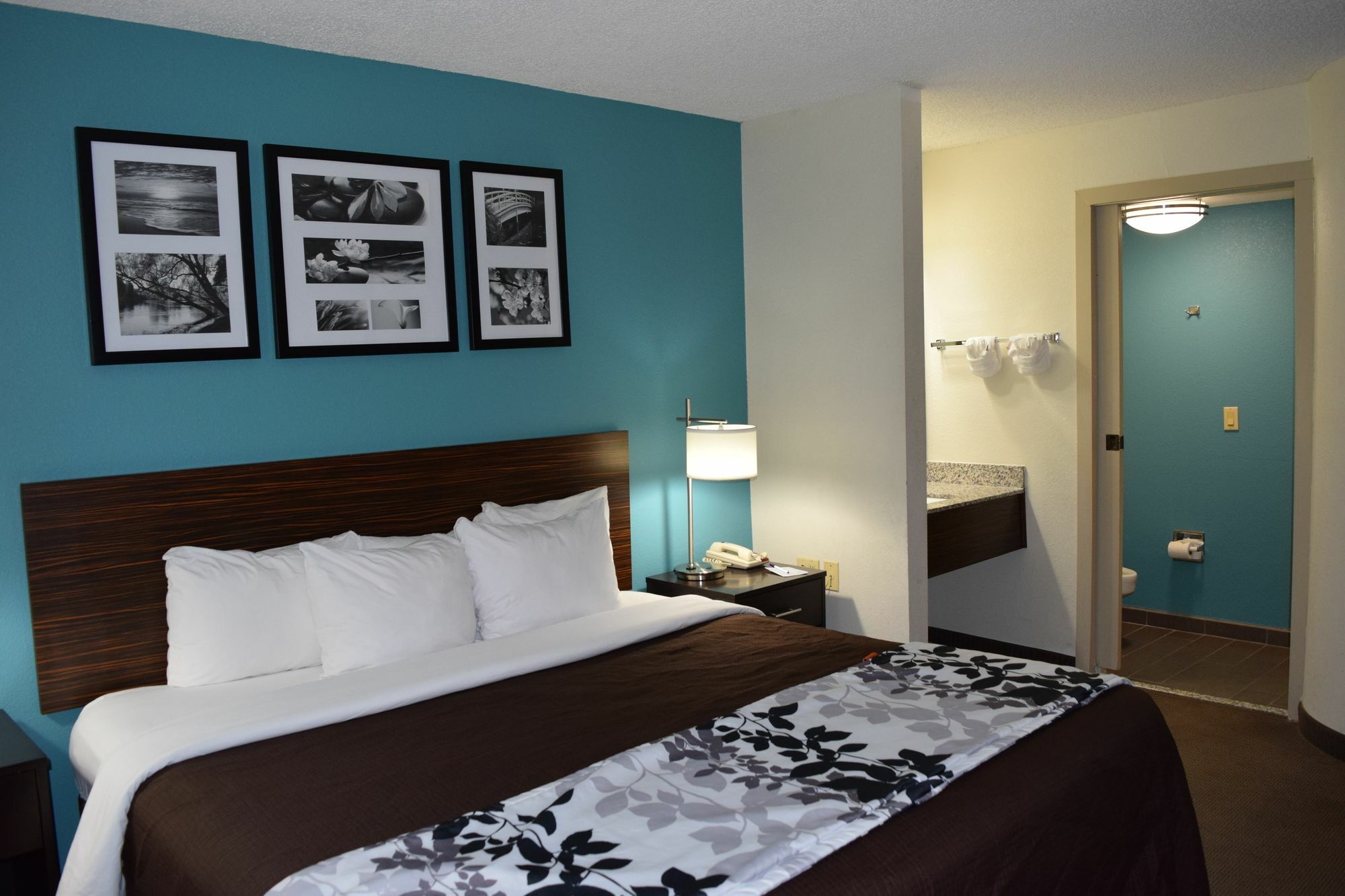 Clarion Inn & Suites Dfw North Ірвінг Екстер'єр фото